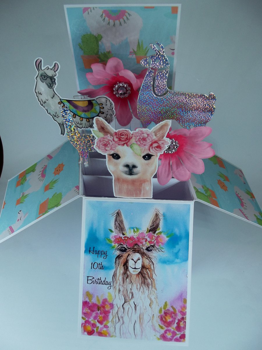Girls 10th Birthday Card with Llamas