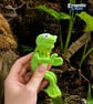 Carmelo Handmade Poseable Green Frog Plush Collectable Frog Friend Plant a Tree - Image 4