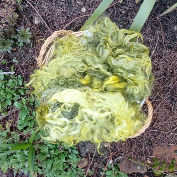 50g Lemon Gotland Fleece