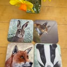 Set of 4 glossy 9cm square wildlife coasters