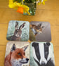 Set of 4 glossy 9cm square wildlife coasters