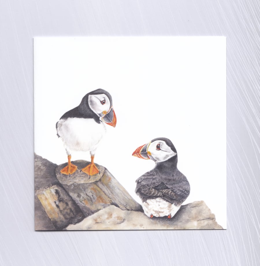 Puffins Greetings Card with free Bookmark