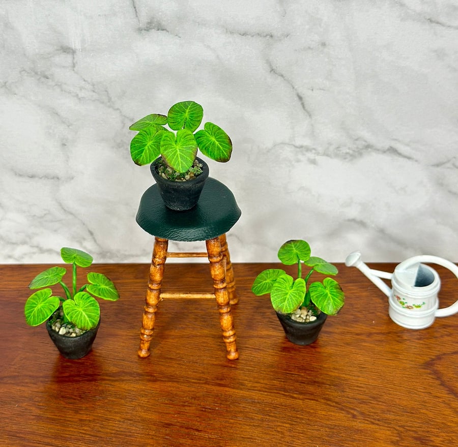 Miniature Alocassia Plant - Handmade ,1:12 Scale, Dollhouse plant Miniature 