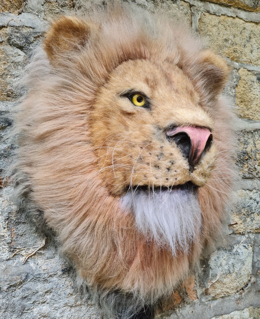 Llewellyn the lion faux taxidermy head