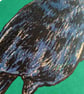Crow, 4-colour screen print - Image 5