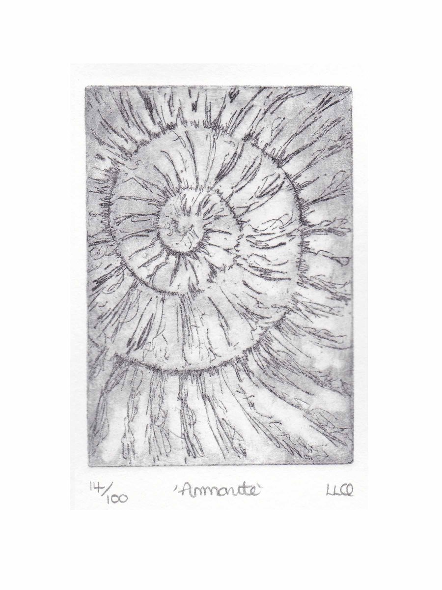 Etching no.14 of an ammonite fossil in an edition of 100