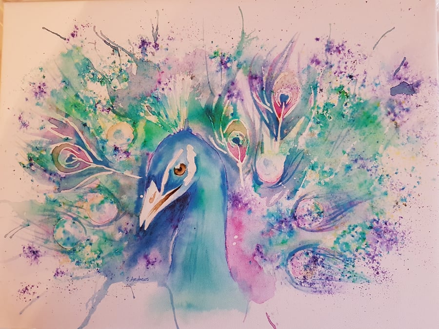 Peacock print A3 size