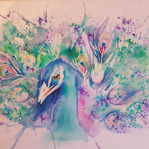 Peacock print A3 size