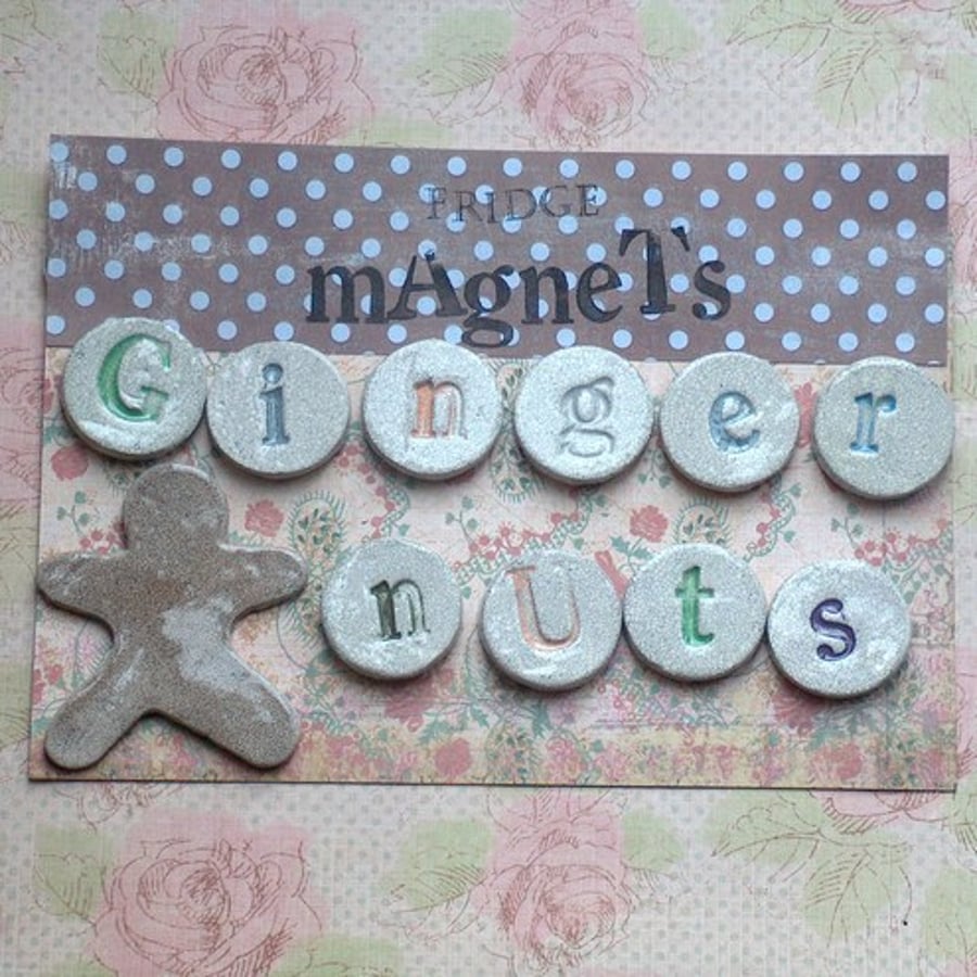 Fridge Magnets "Gingernuts"
