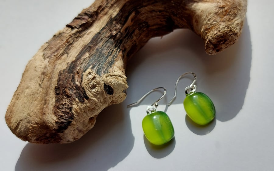 Fused Glass Earrings 