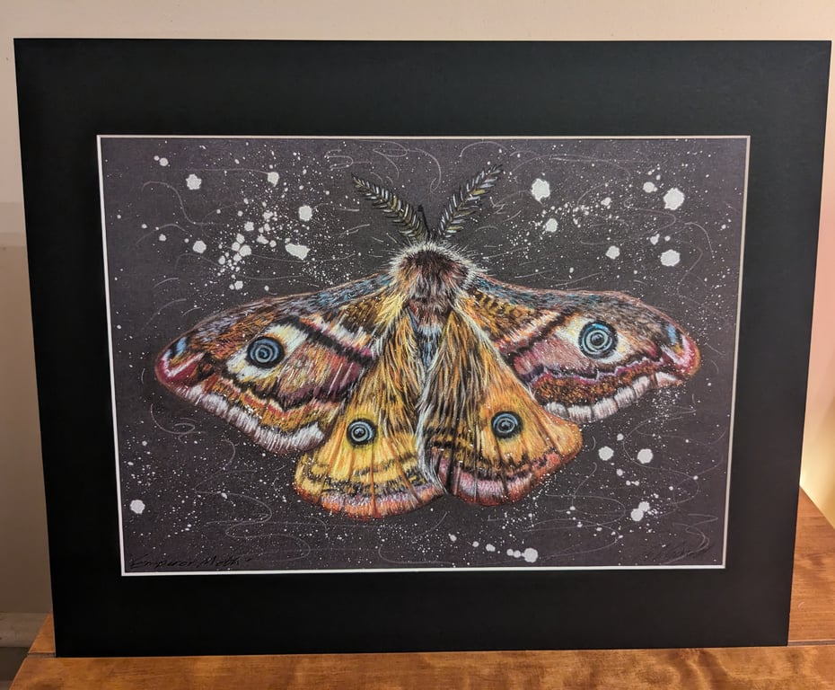 An A4 or A3 Print of an original drawing of an Emperor Moth