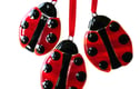 Fused Glass Art  
