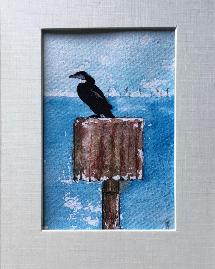 Watercolour hand painted cormorant 