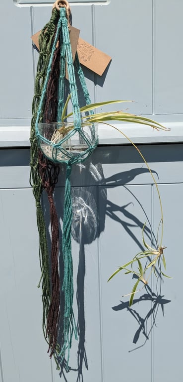 Beautiful Bundle 3 Macramé Plant Pot Holder Hanging Baskets