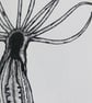 Starlet sea anemone card - Image 3