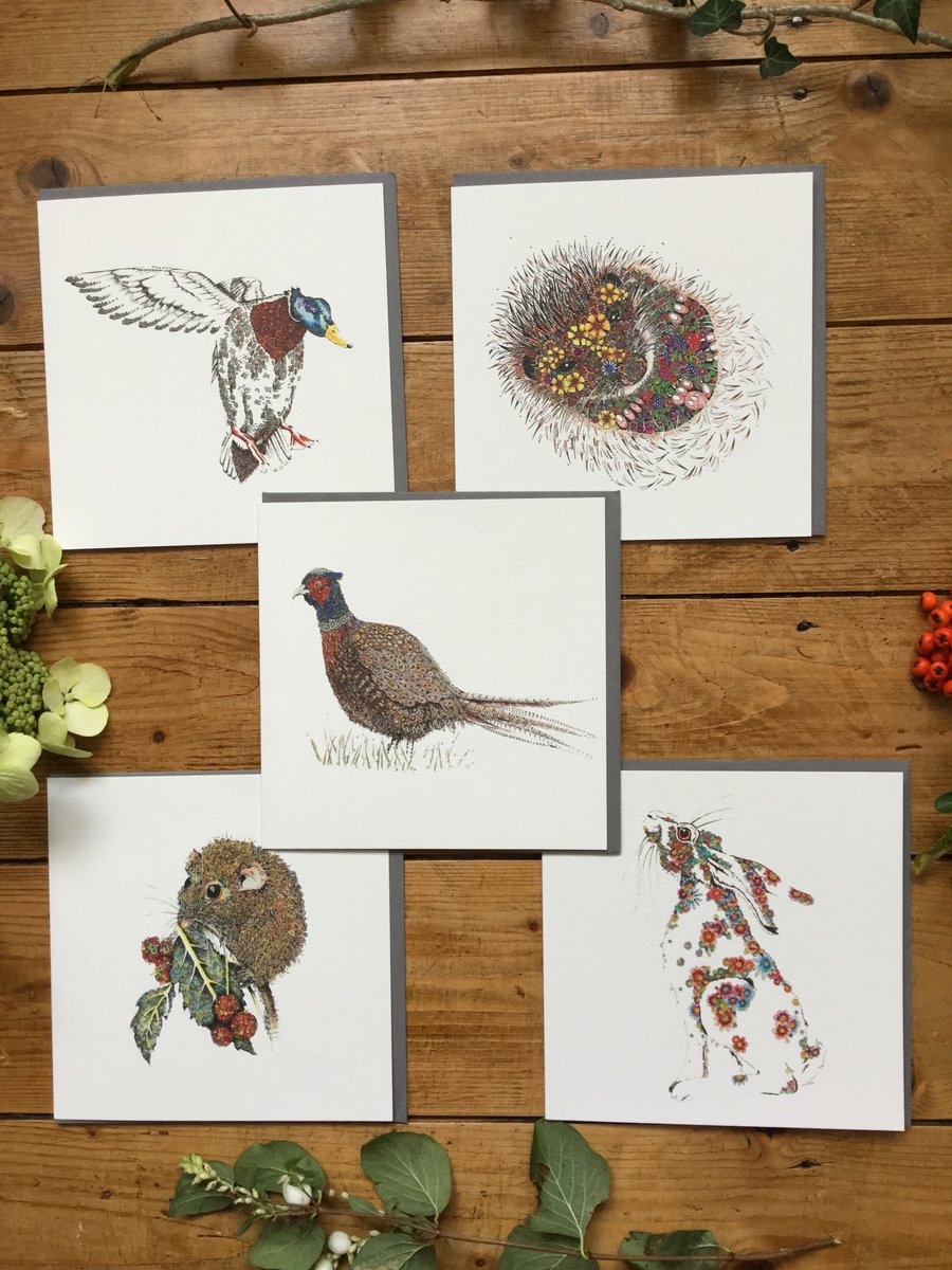 Beautiful Nature multi pack of greeting cards 