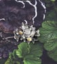 Sterling silver and moonstone brooch inspired by lichen - Image 4