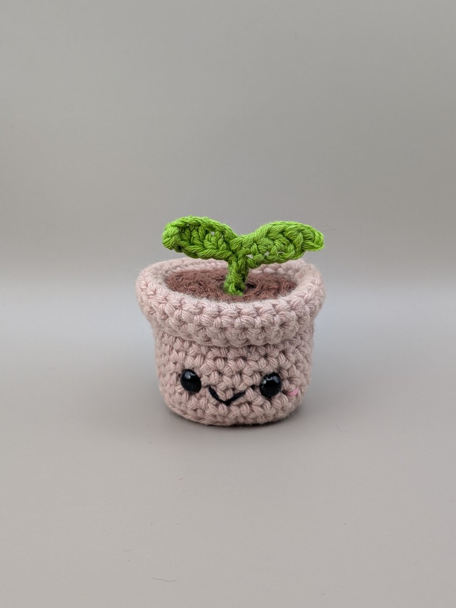 Crochet seedling 
