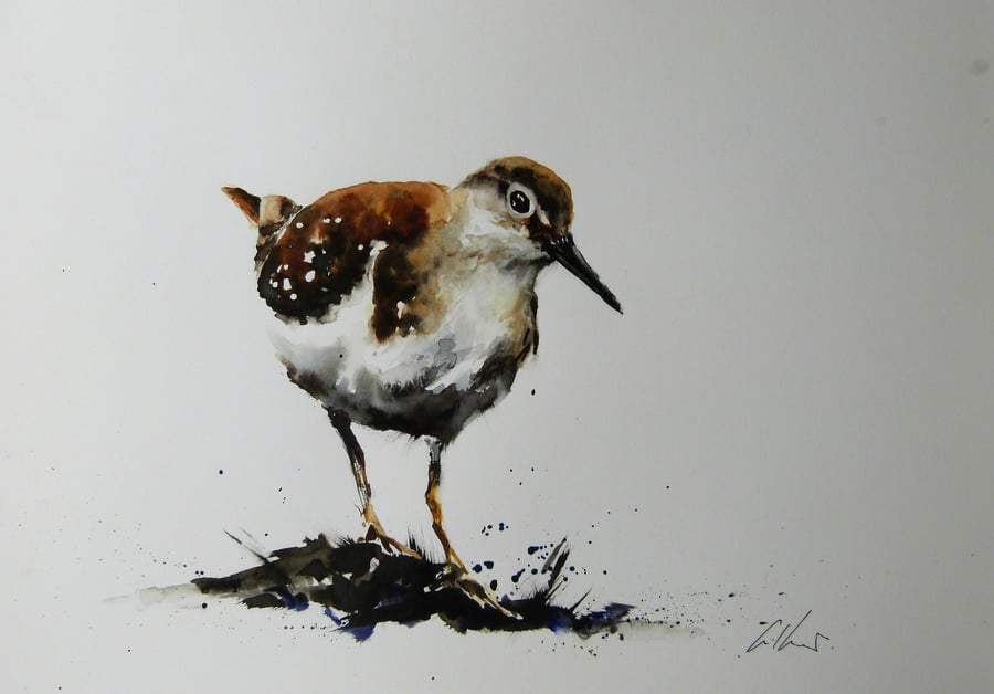 Common Sandpiper, Original Watercolour Painting.