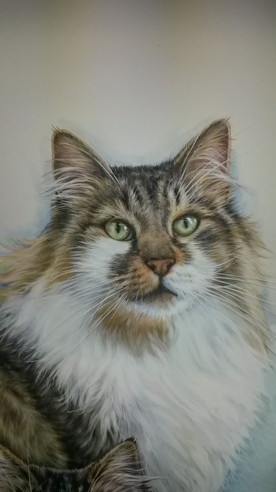 Pet Portraits - Price varies depending on size and format