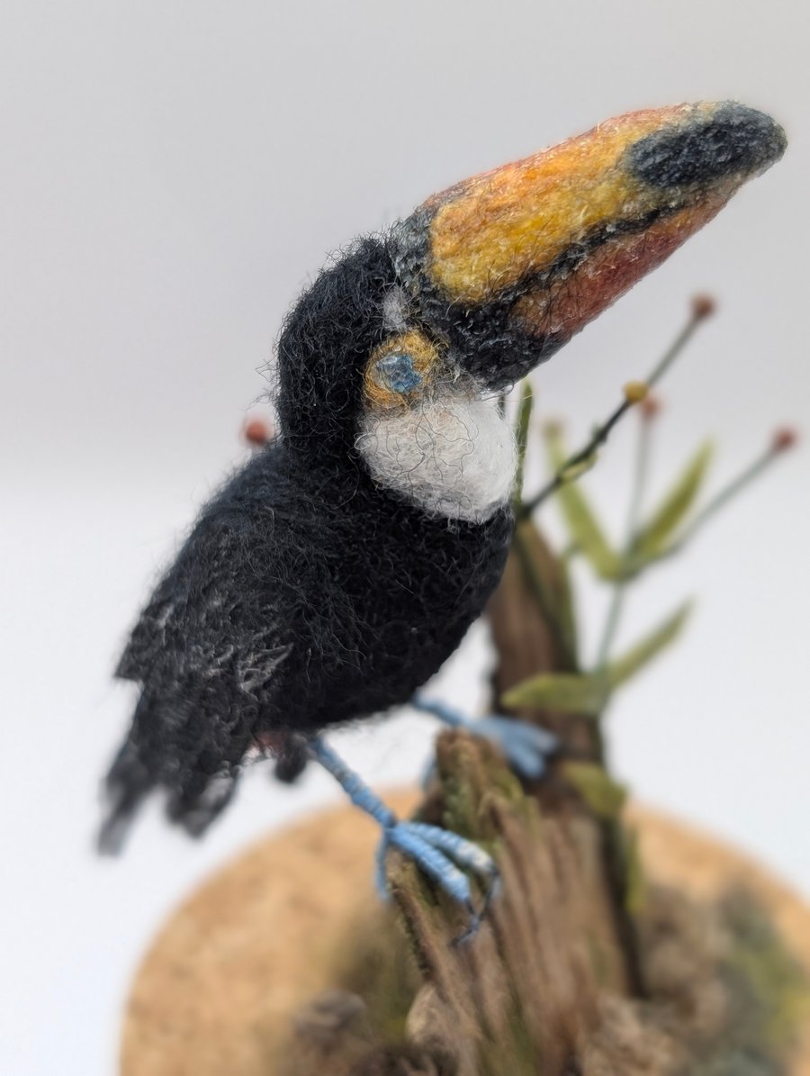 Needle felt tiny Toucan eating berries Bird in a Gift Box 