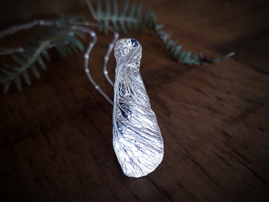 Sycamore Seed with a hidden Amber, Samara, Helicopter Seed