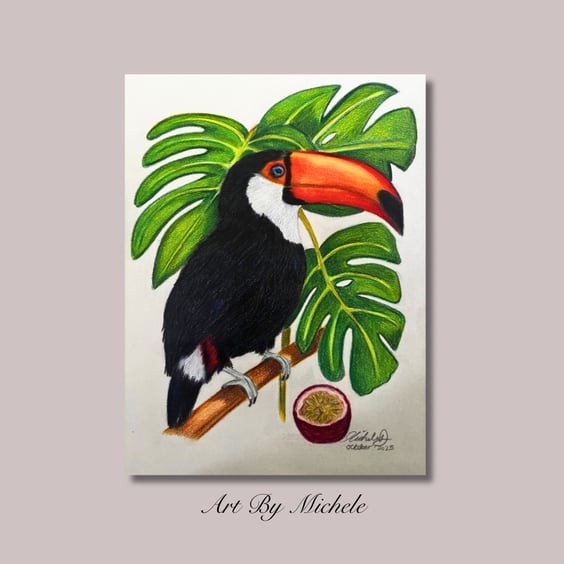 Original Toco Toucan Drawing, Colour Pencil Wildlife Art, 9x12 Artwork