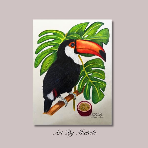 Original Toco Toucan Drawing, Colour Pencil Wildlife Art, 9x12 Artwork