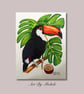 Original Toco Toucan Drawing, Colour Pencil Wildlife Art, 9x12 Artwork