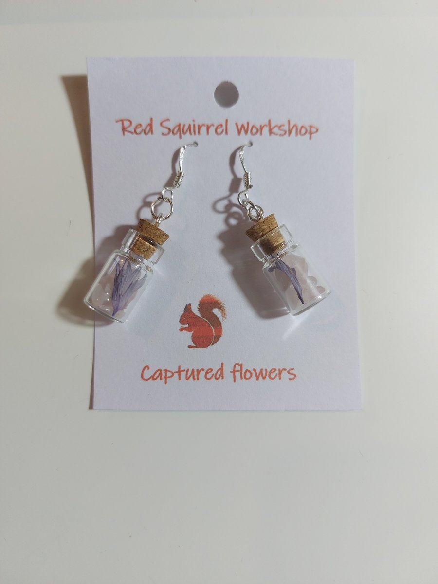 Captured dry flowers in glass bottles earrings 