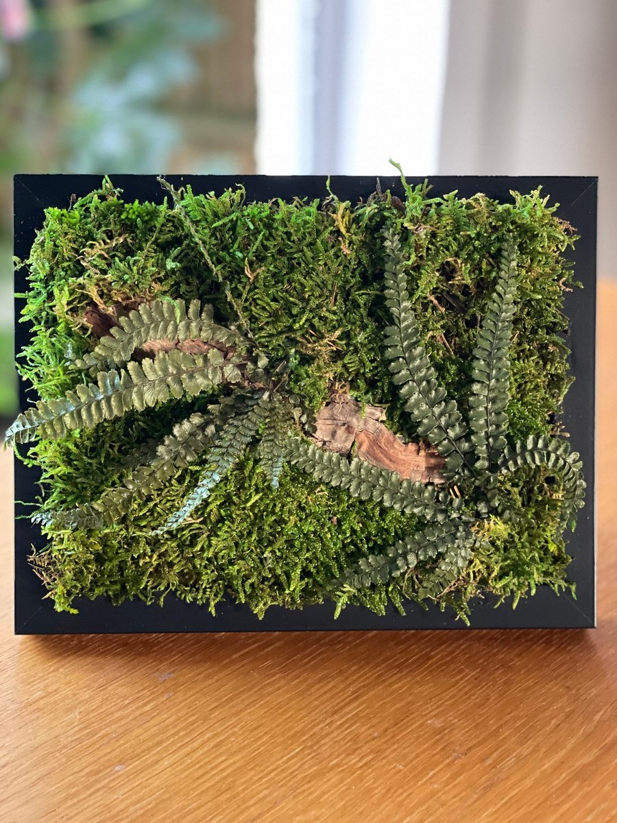 Framed Forest Vignette