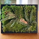 Framed Forest Vignette