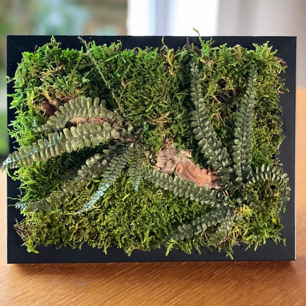 Framed Forest Vignette