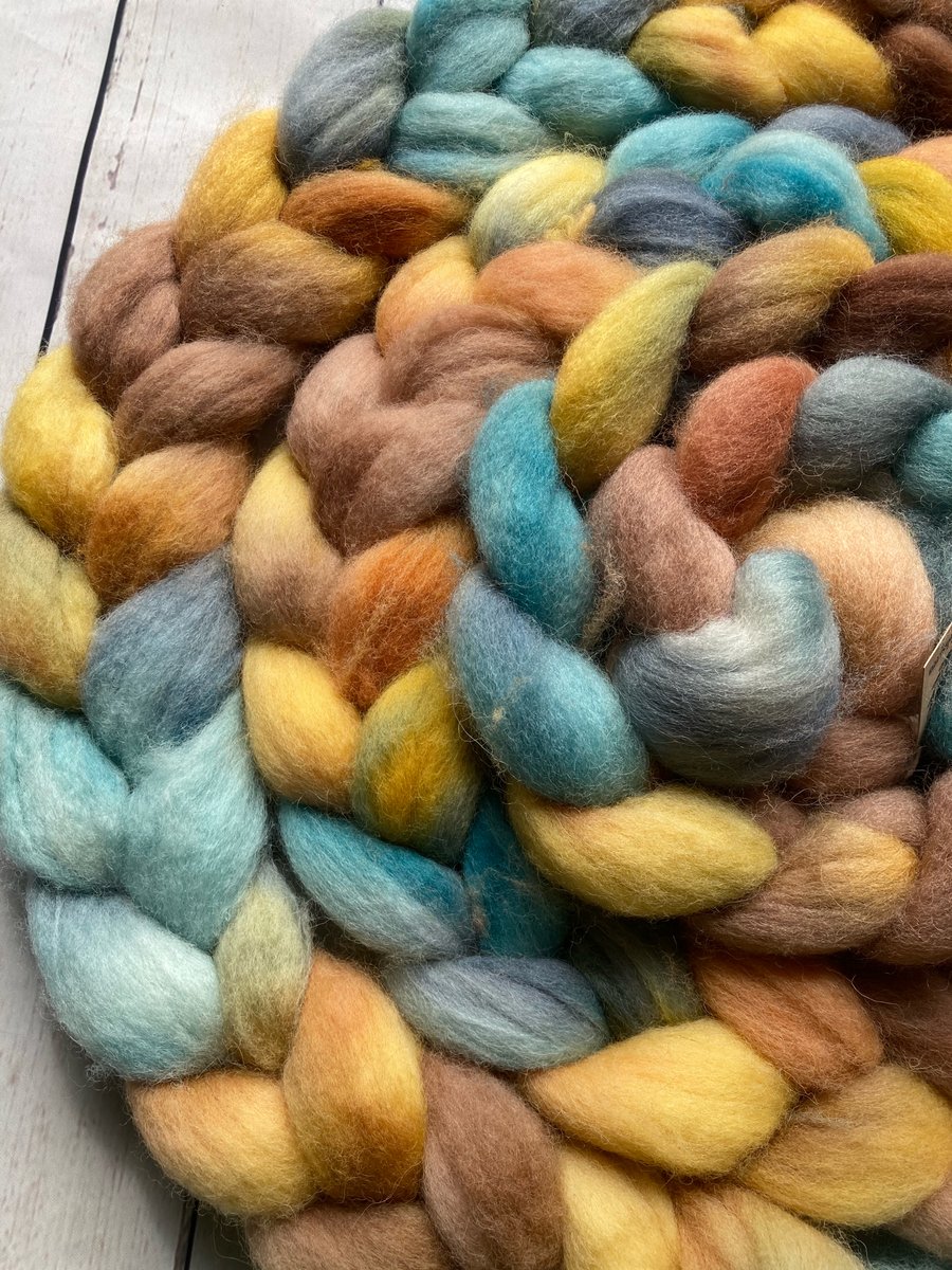 BFL spinning fibre 100g Poldhu
