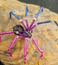 Bisexual Bi Flag sPRIDEr Hanging Spider Suncatcher Decoration - Image 3