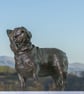 French Bulldog Lifting Paw Statue Large  Bronze Resin Garden Sculpture  - Image 2