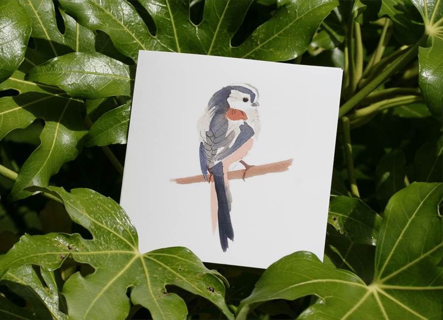 Long-tailed tit watercolour square card
