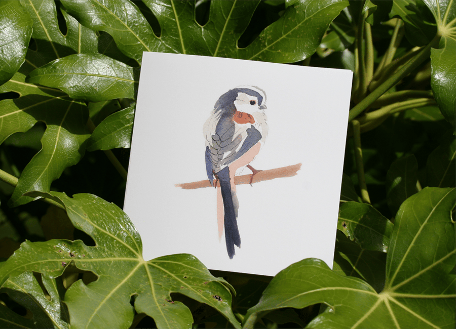 Long-tailed tit watercolour square card