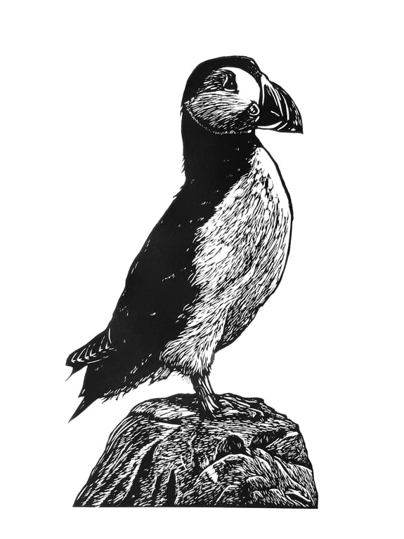 The Lookout - an original linoprint of a puffin looking out to sea 