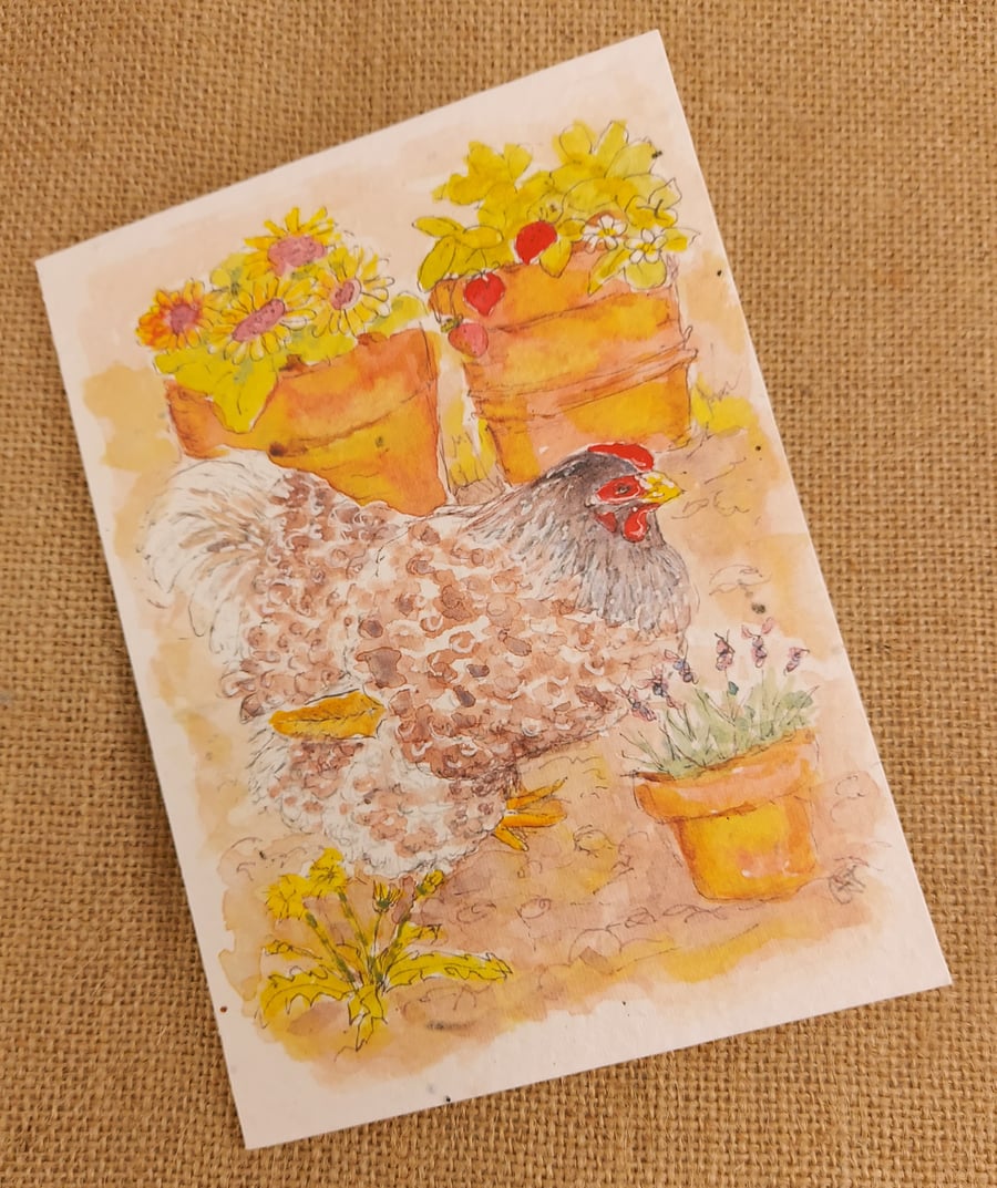 Seeded card (blank)Hen patrolling the pots 