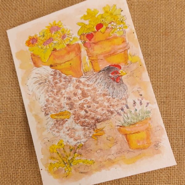 Seeded card (blank)Hen patrolling the pots 