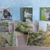 Ethically Made A6 Bird Greetings Cards - Pack of 8