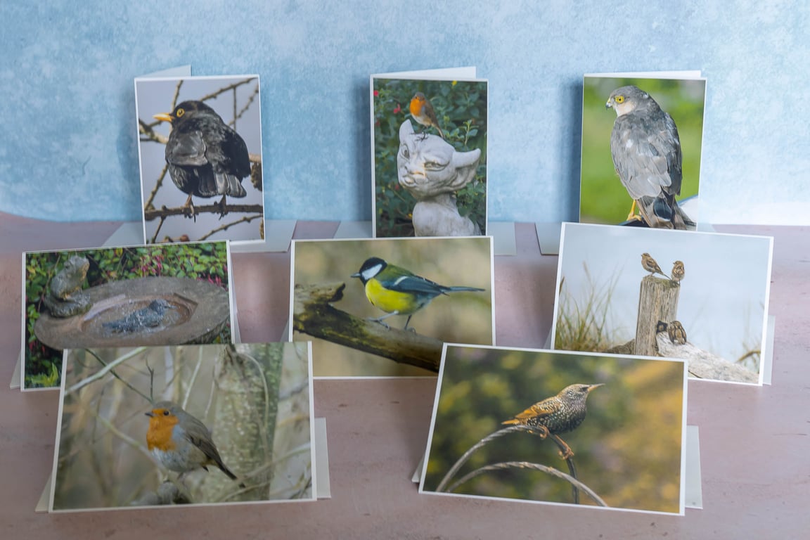 Ethically Made A6 Bird Greetings Cards - Pack of 8
