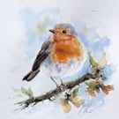 Robin and blossom, Original Watercolour Painting.