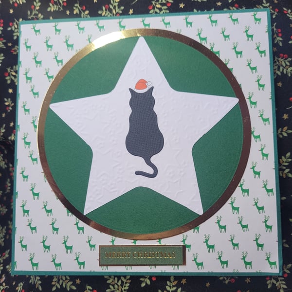 Xmas Star Cat Christmas Card green