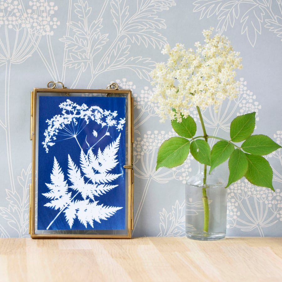 Cow Parsley Cyanotype No. 2 in gold edged frame