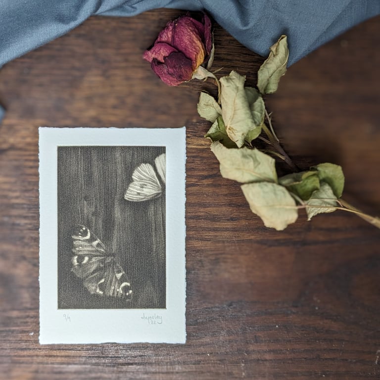 Ghosts xiii - hand printed mezzotint of two butterflies