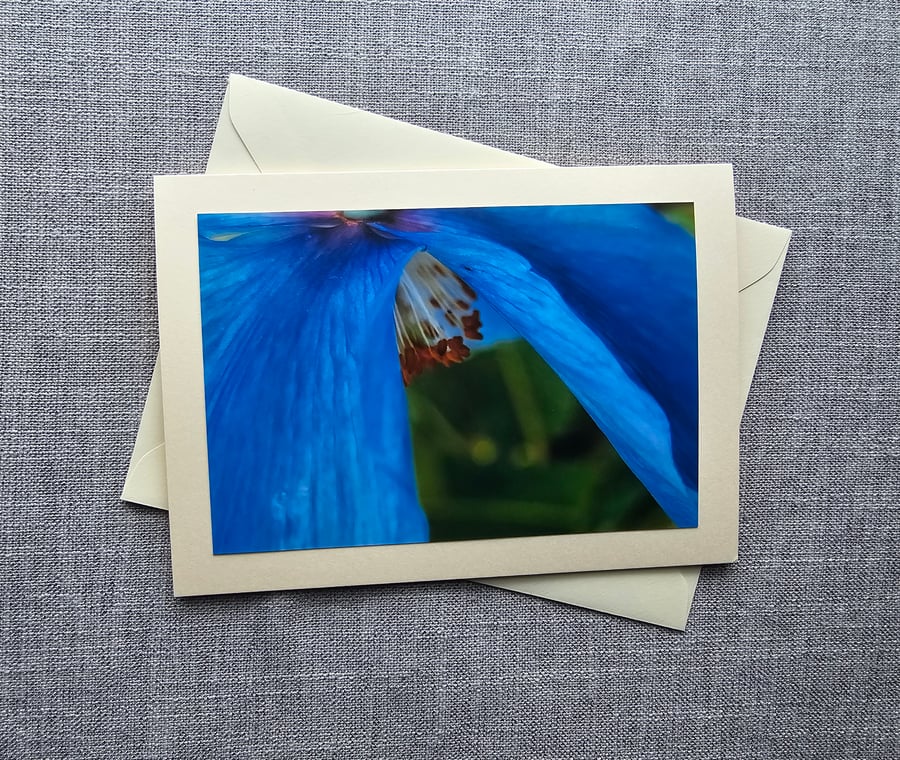 Blue Himalayan Poppy Large Photographic Card Blank 7" x 5 "