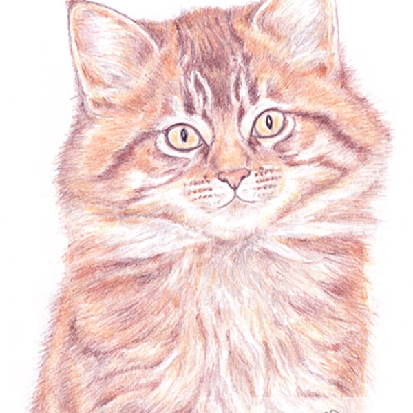 Moppet the Kitten -  Thank You Card