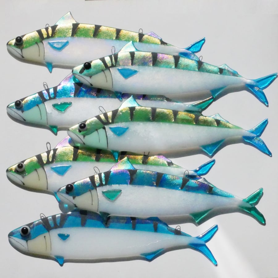 Mackerel Fused Glass Fish Wall Hanging Decoration Medium Size